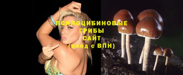 MESCALINE Алзамай
