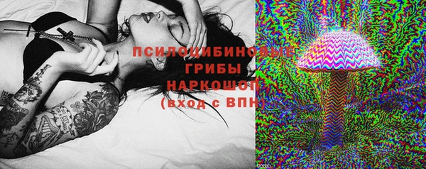 твердый Абаза