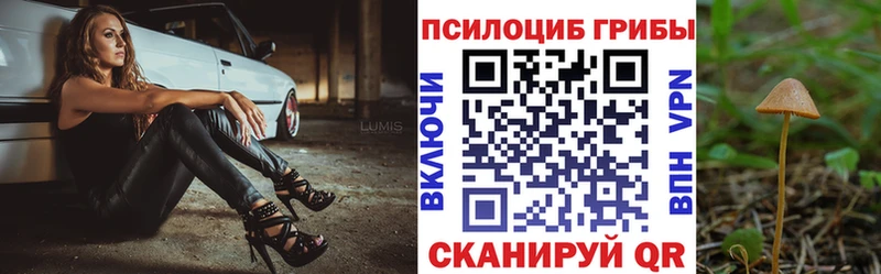 Псилоцибиновые грибы Magic Shrooms  Яхрома 